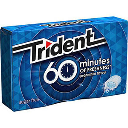 Picture of Past TRIDENT 60 Minutes Peppermint 20gr
