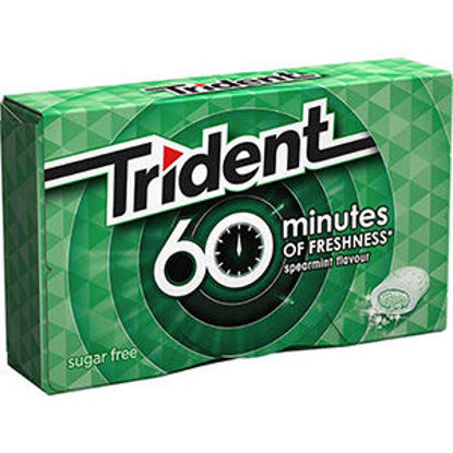 Picture of Past TRIDENT 60 Minutes Spearmint 20gr