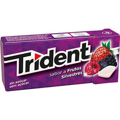 Picture of Past TRIDENT Frutos Silvestres 14,5gr