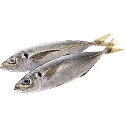Picture of Carapau SPAR Médio 900gr