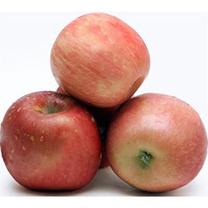 Picture of Maca Pink Lady II kg (emb 500GR aprox)
