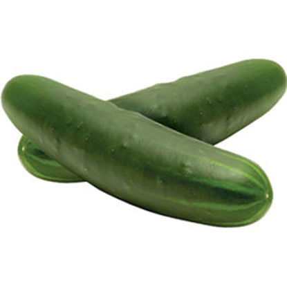 Picture of Pepino II kg (emb 500GR aprox)