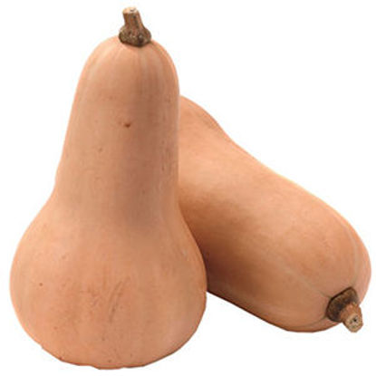 Picture of Abobora Butternut II kg (emb 500GR aprox)