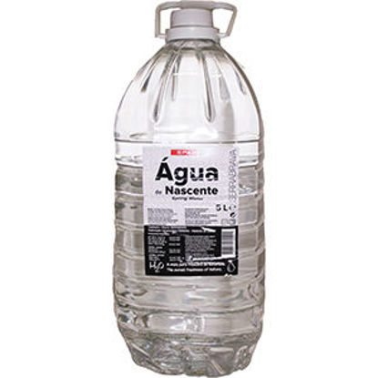 Picture of Água SPAR Nascente 5lt