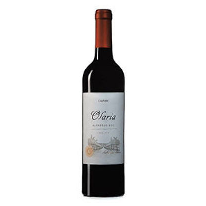 Picture of Vinho OLARIA Seleccao Socios Tinto 75cl