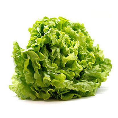 Picture of Alface Frisada II kg (emb 500GR aprox)