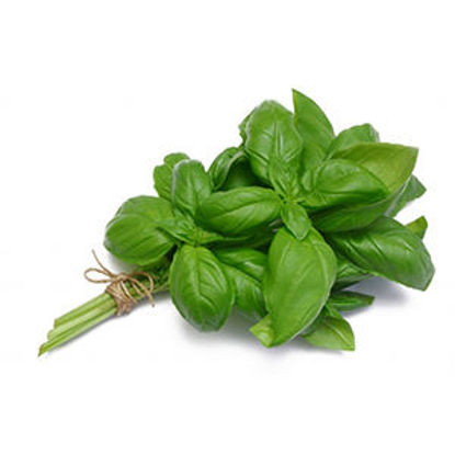 Picture of Hortela 50gr Un