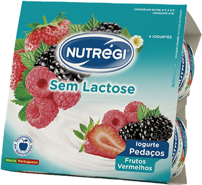 Picture of Iog NUTREGI S/Lactose Pedaços Frut Verm 120gr