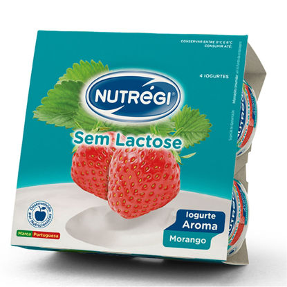 Picture of Iog NUTREGI S/Lactose Aroma Mora 120gr