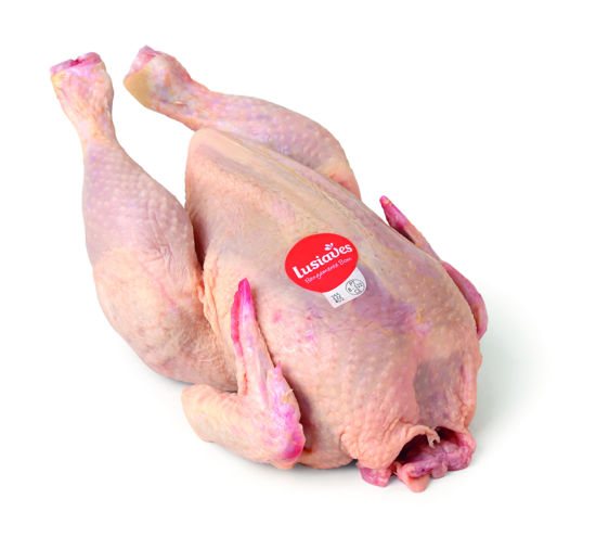 Picture of Frango Inteiro S/Miudos kg (emb 500GR aprox)