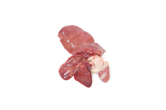 Picture of Frango Fígado kg (emb 500GR aprox)