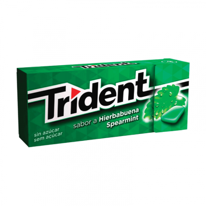 Picture of Past TRIDENT Fresh Spearmint 14,5gr