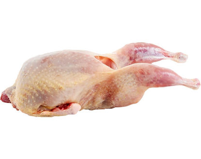 Picture of Codornizes un