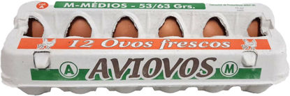 Picture of Ovos AVIOVOS Classe M 1 dz