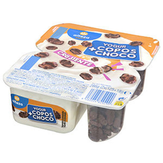 Picture of Iog ALTEZA Bicompart Flocos Choc 286gr