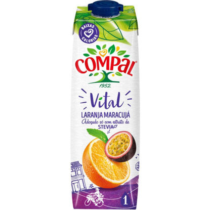 Picture of Néctar COMPAL Vital Larj Marac Tetra 1lt